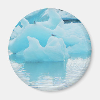 Jökulsárlón terns magnet