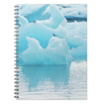 Jökulsárlón terns