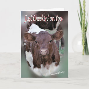 Jolee-Thinking of You-or other occasions-customise Card