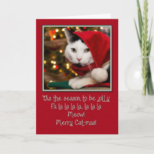 Jolly Cat-mas Holiday Card