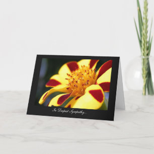 Jolly Jester Marigold - In Deepest Sympathy Card