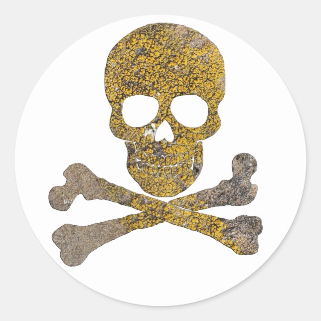 Jolly Roger Talking Canyons New Mexico Classic Round Sticker (Front)