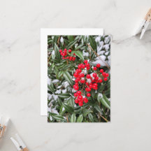 Jolly Winter Berry Christmas season greeting card