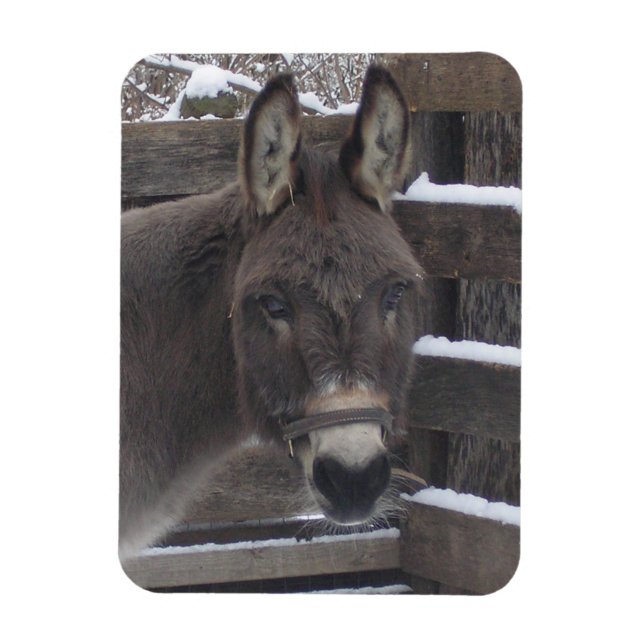 "Jonathan" Magnet (Vertical)