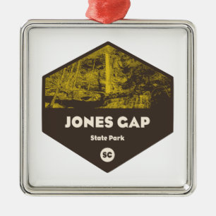 Jones Gap State Park South Carolina Metal Tree Decoration