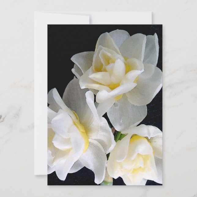 Jonquil Flower - Ecclesiastes 3:1 (Front)