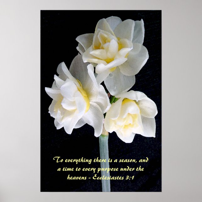 Jonquil Flower - Ecclesiastes 3:1 Poster (Front)