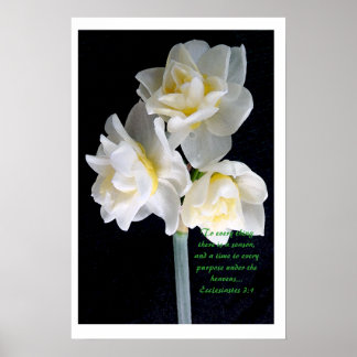 Jonquil Flower - Ecclesiastes 3:1 Poster