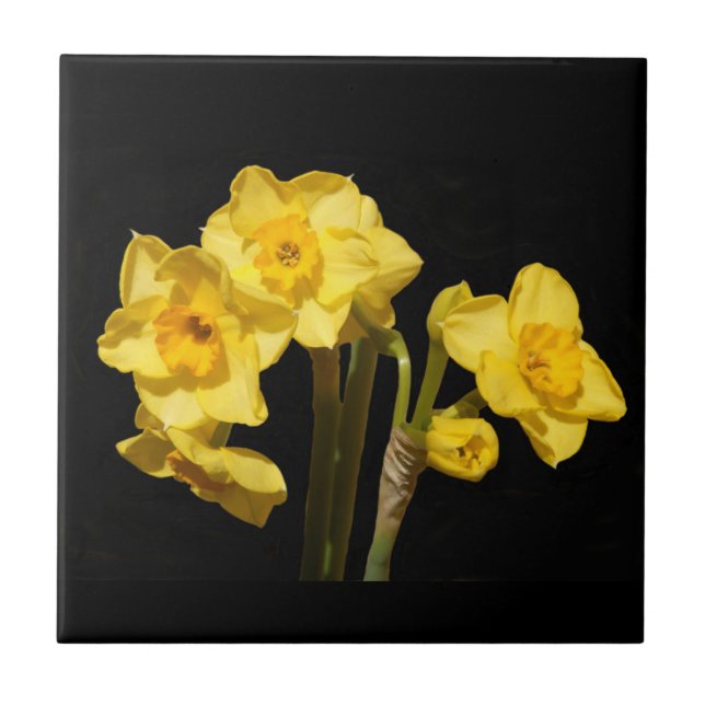 Jonquil Flowers Ceramic Tile (Front)