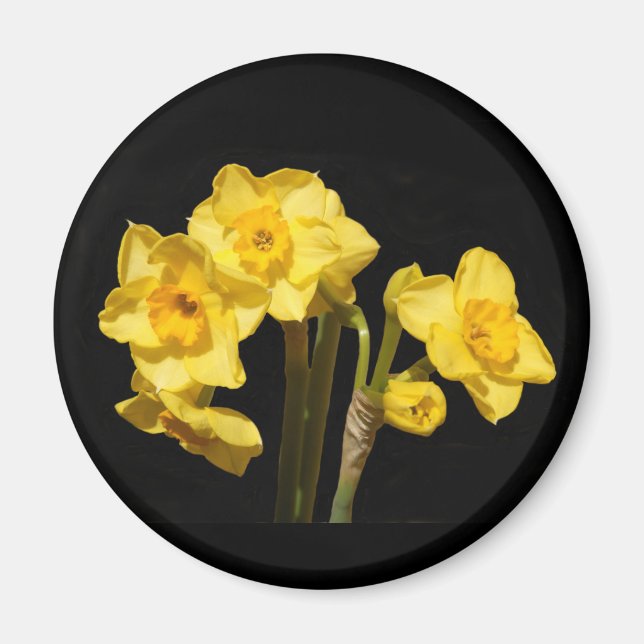 Jonquil Flowers Magnet (Front)