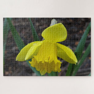 Jonquil in spring jigsaw puzzle