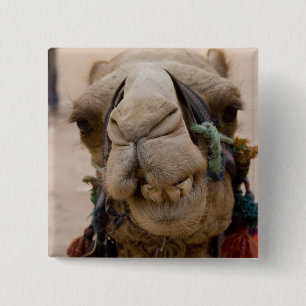 Jordan, Ancient Nabataean city of Petra 15 Cm Square Badge