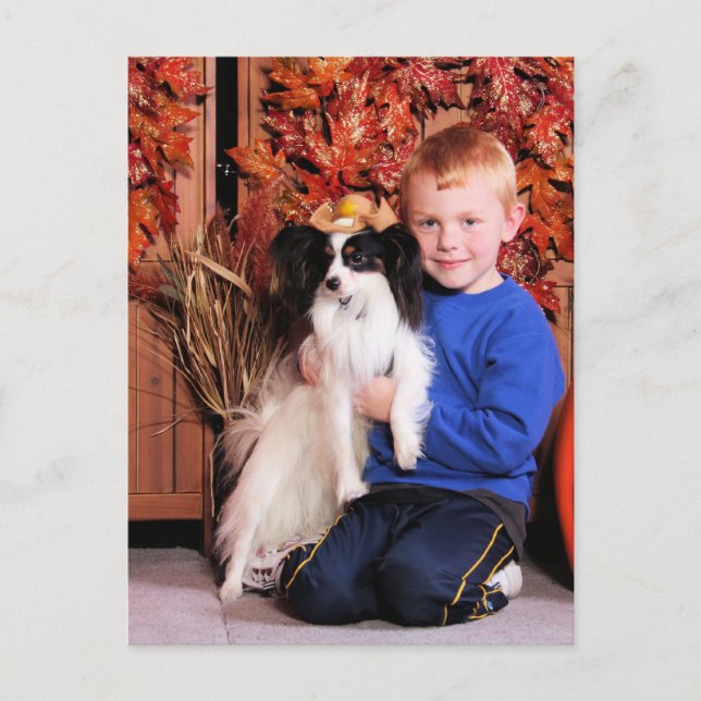 Jordy - Papillon - Numkena Postcard (Front)