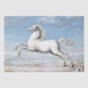 Joris Hoefnagel White Horse - 1552 and 1601 Tissue Paper