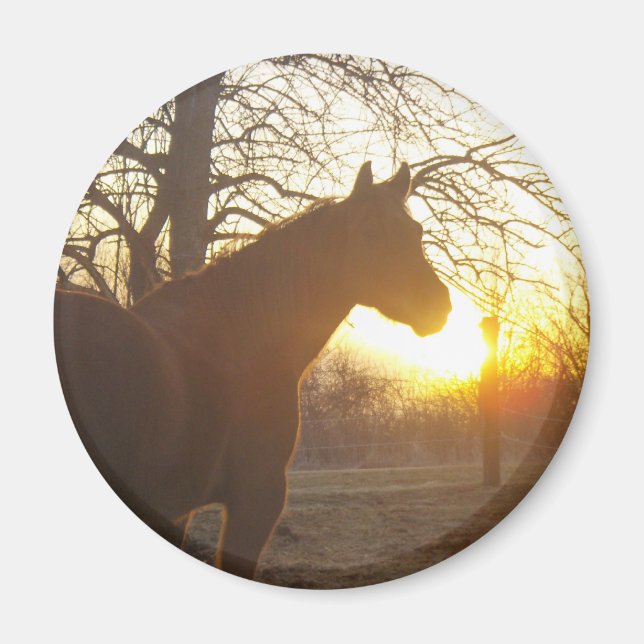 Jose benito magnet (Front)