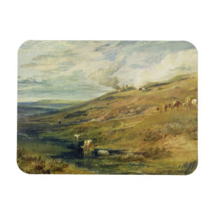 Joseph Mallord William Turner Dartmoor: The Sour Magnet
