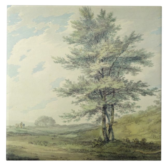 Joseph Mallord William Turner | Landscape with Tre Tile (Front)
