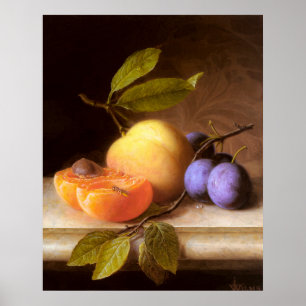 Joseph Peter Wilms - Peaches and Plums Poster
