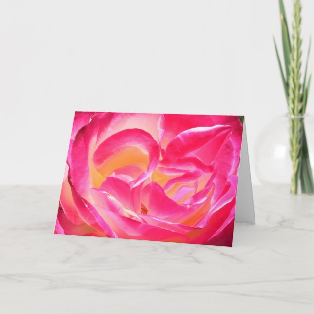 Joseph's Coat Card (Front)