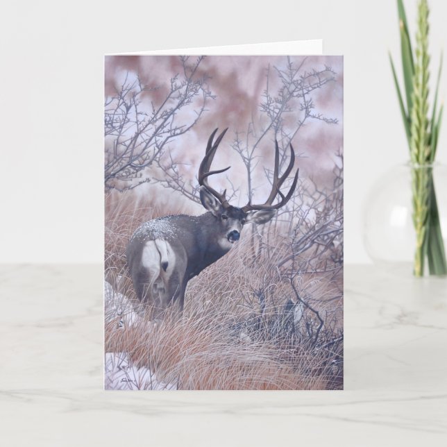 Joshua Spies Note Card (Front)