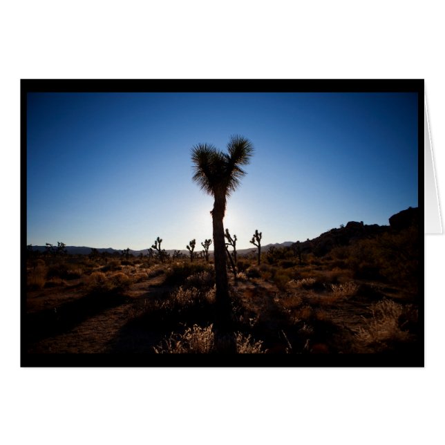 Joshua Tree (Front Horizontal)