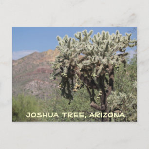 Joshua Tree, Arizona Postcard