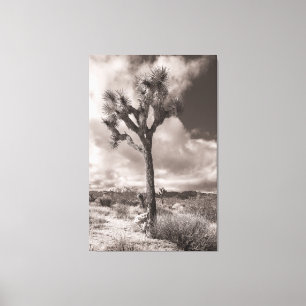 Joshua Tree Canvas Print