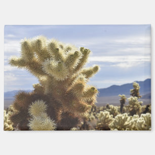 Joshua Tree Cholla Magnet