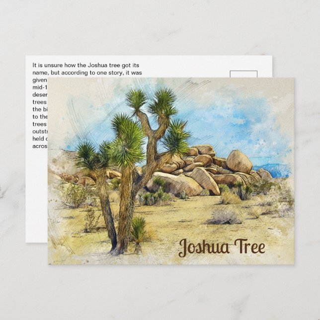 Joshua Tree Fun Fact Postcard (Front/Back)