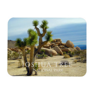 Joshua Tree, Giant Boulders, Desert Magnet