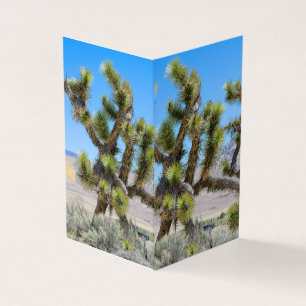 Joshua Tree in California     