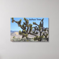 Joshua Tree in California