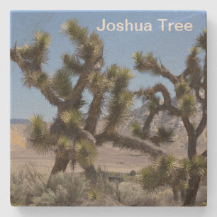 Joshua Tree in California Stone Coaster