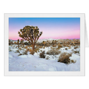 "Joshua Tree In Snow"