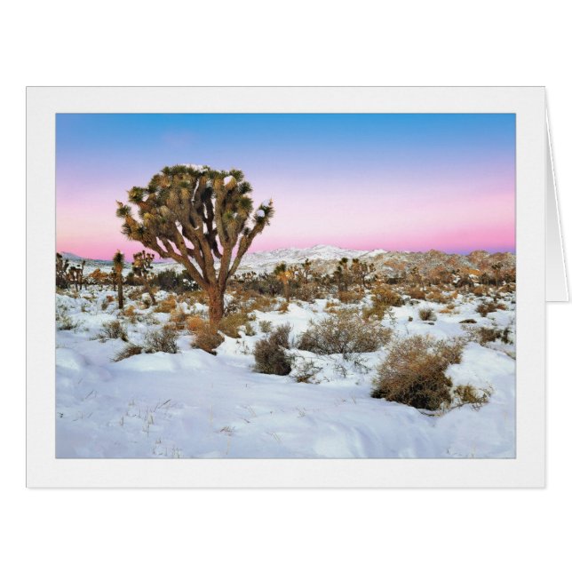 "Joshua Tree In Snow" (Front Horizontal)