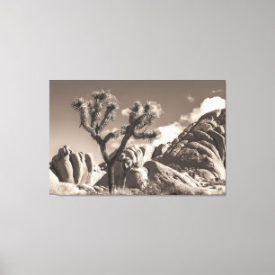 Joshua Tree Landscape Sepia Tone Canvas Print