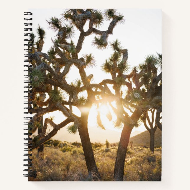 Joshua Tree - Limited Edition Notebook (Front)