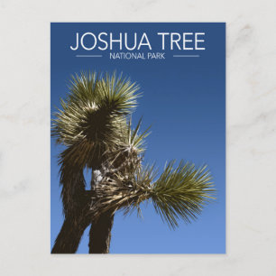 Joshua Tree National Park Branches Stylised Travel Postcard