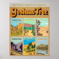 Joshua Tree National Park California Landmark