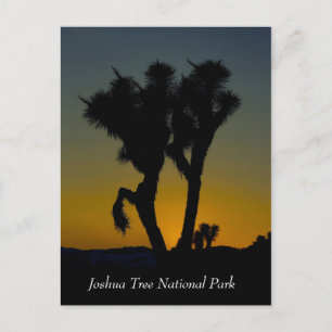 Joshua Tree National Park, California Postcard