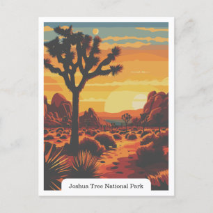 Joshua Tree National Park, California USA Postcard