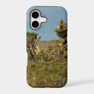 Joshua Tree National Park Desert Landscape