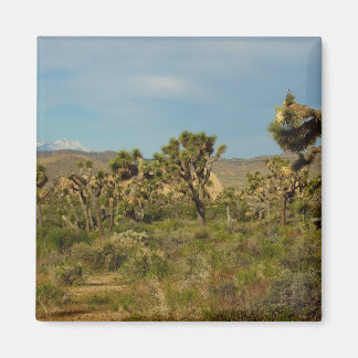 Joshua Tree National Park Desert Landscape Magnet