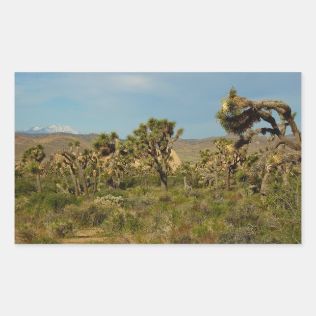 Joshua Tree National Park Desert Landscape Rectangular Sticker (Front)