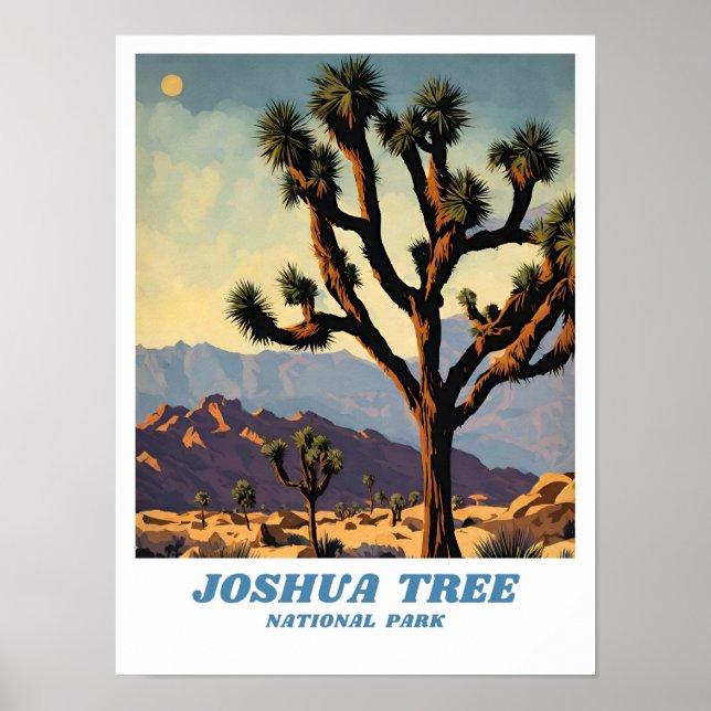 Joshua Tree National Park illustration retro Class Poster (Front)