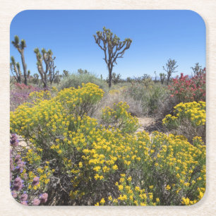 Joshua Tree National Park In Bloom Square Paper Coaster
