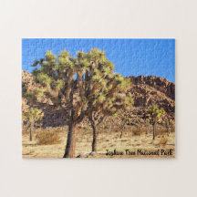 Joshua Tree National Park