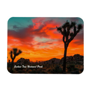 Joshua Tree National Park Magnet