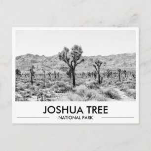 Joshua Tree National Park Photo Stationery  Postcard