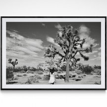 Joshua Tree National Park Photography Poster 